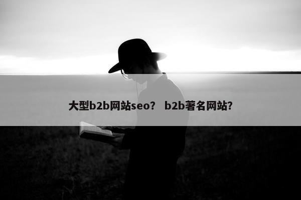 大型b2b网站seo？ b2b著名网站？