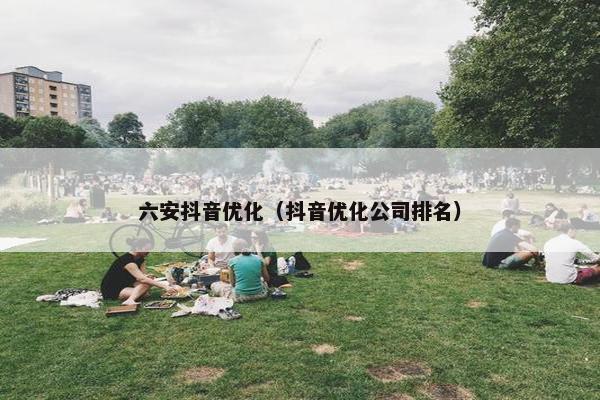 六安抖音优化（抖音优化公司排名）
