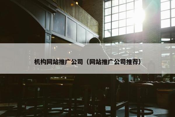 机构网站推广公司（网站推广公司推荐）