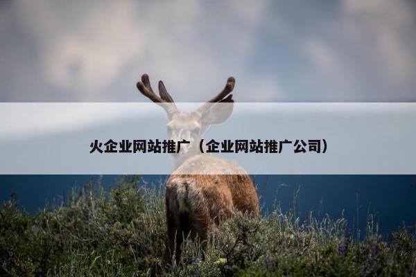 火企业网站推广（企业网站推广公司）