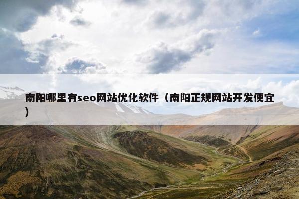 南阳哪里有seo网站优化软件（南阳正规网站开发便宜）