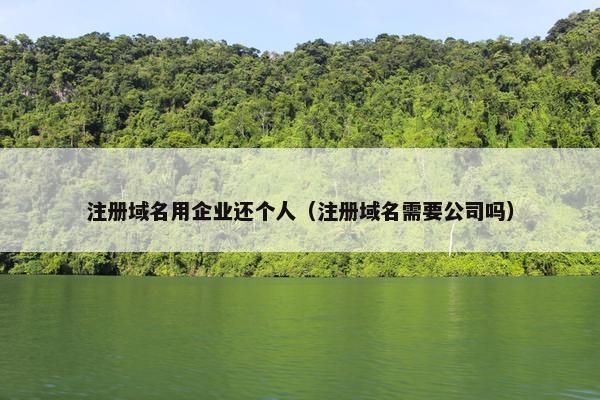 注册域名用企业还个人（注册域名需要公司吗）