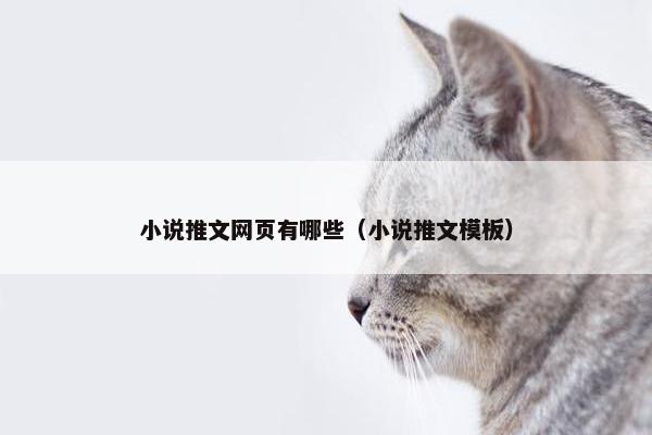 小说推文网页有哪些（小说推文模板）