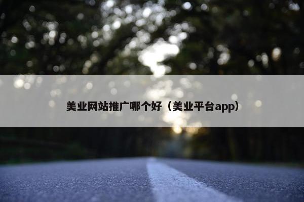 美业网站推广哪个好（美业平台app）