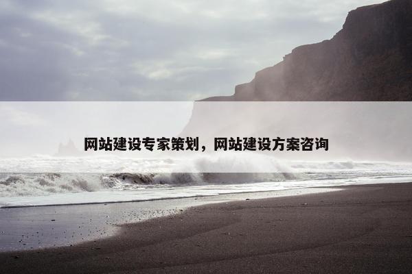网站建设专家策划，网站建设方案咨询