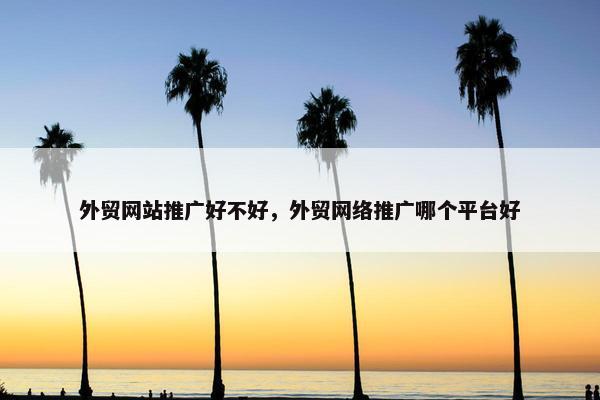 外贸网站推广好不好，外贸网络推广哪个平台好