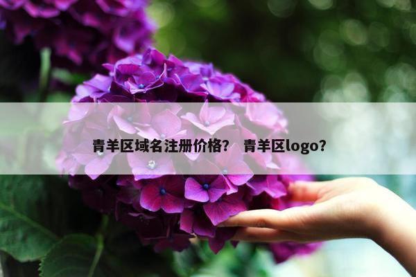 青羊区域名注册价格？ 青羊区logo？