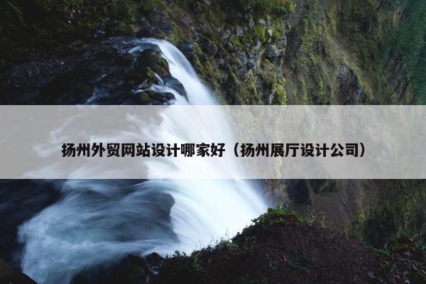 扬州外贸网站设计哪家好（扬州展厅设计公司）