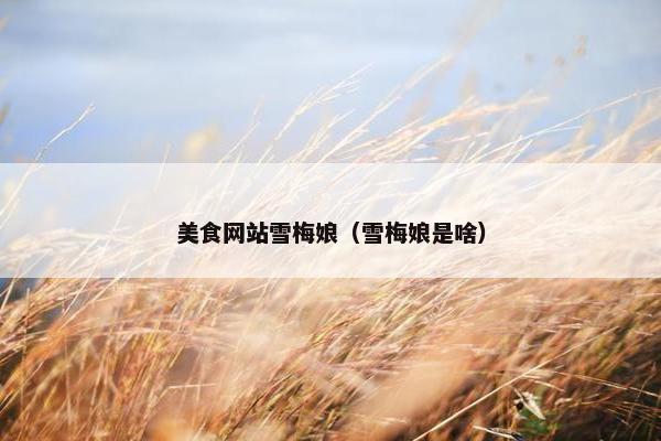 美食网站雪梅娘（雪梅娘是啥）