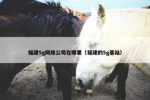 福建5g网络公司在哪里（福建的5g基站）
