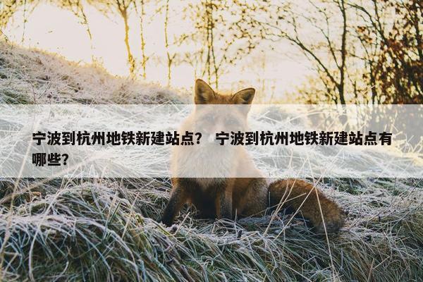 宁波到杭州地铁新建站点？ 宁波到杭州地铁新建站点有哪些？
