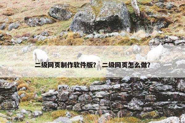 二级网页制作软件版？ 二级网页怎么做？
