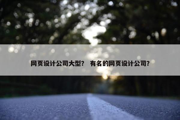 网页设计公司大型？ 有名的网页设计公司？