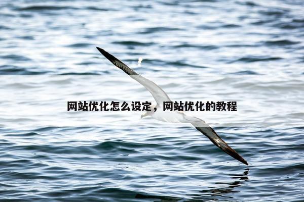网站优化怎么设定，网站优化的教程