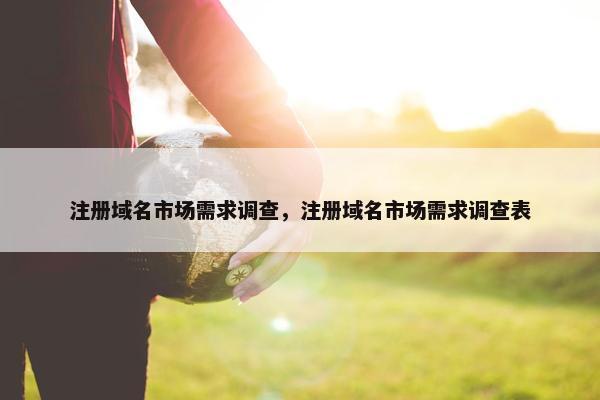 注册域名市场需求调查，注册域名市场需求调查表