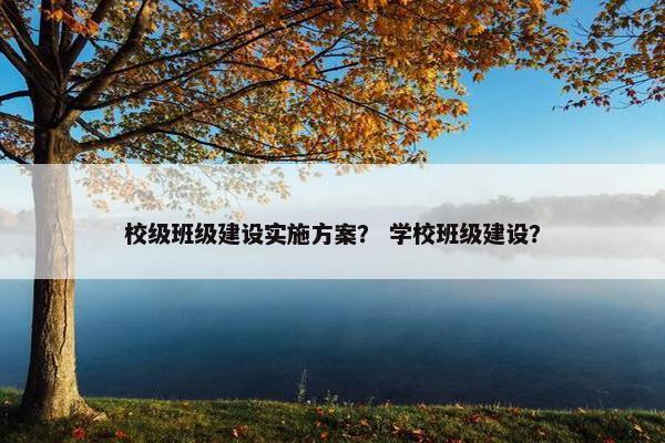 校级班级建设实施方案？ 学校班级建设？