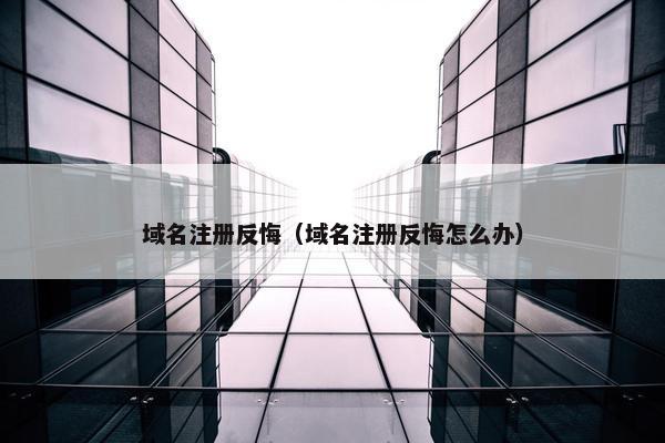 域名注册反悔（域名注册反悔怎么办）
