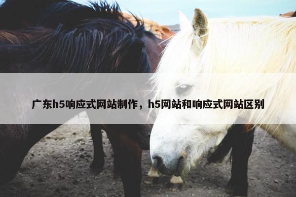 广东h5响应式网站制作，h5网站和响应式网站区别
