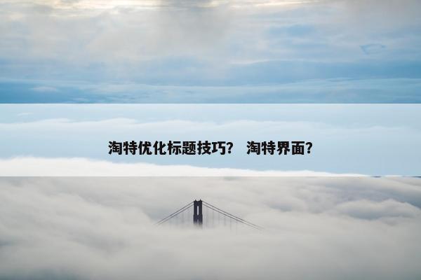 淘特优化标题技巧？ 淘特界面？