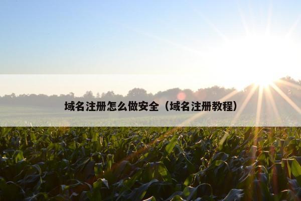 域名注册怎么做安全（域名注册教程）