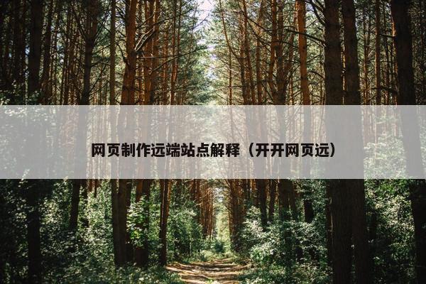 网页制作远端站点解释（开开网页远）