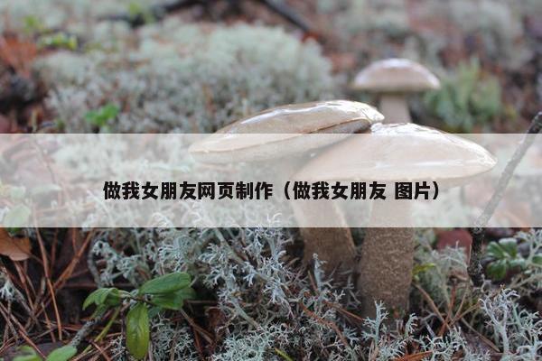 做我女朋友网页制作（做我女朋友 图片）