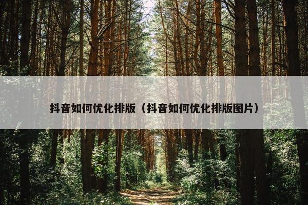 抖音如何优化排版（抖音如何优化排版图片）