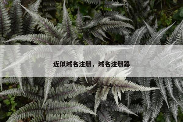 近似域名注册，域名注册器