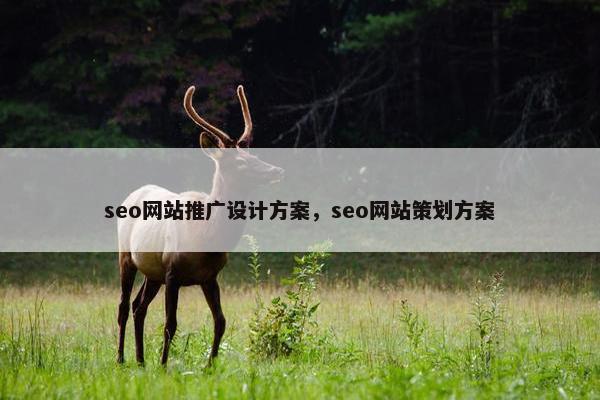 seo网站推广设计方案，seo网站策划方案