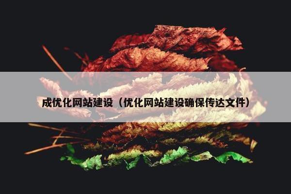 成优化网站建设（优化网站建设确保传达文件）