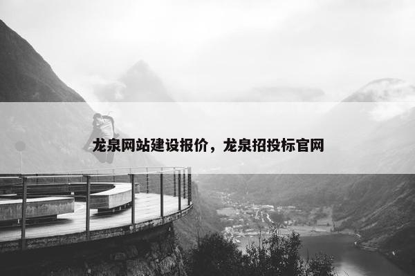 龙泉网站建设报价，龙泉招投标官网