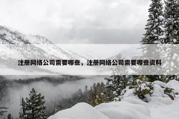 注册网络公司需要哪些，注册网络公司需要哪些资料