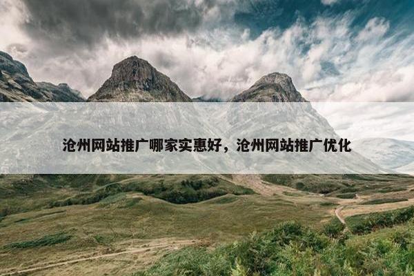 沧州网站推广哪家实惠好，沧州网站推广优化