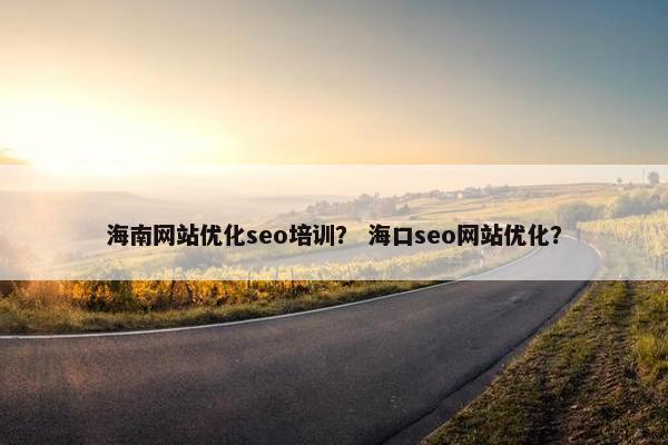 海南网站优化seo培训？ 海口seo网站优化？