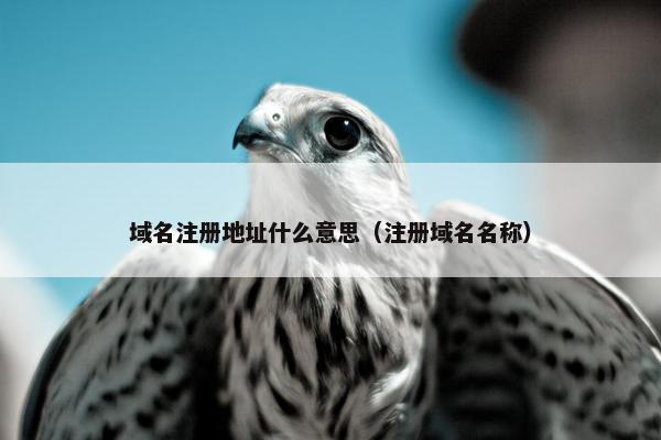 域名注册地址什么意思（注册域名名称）