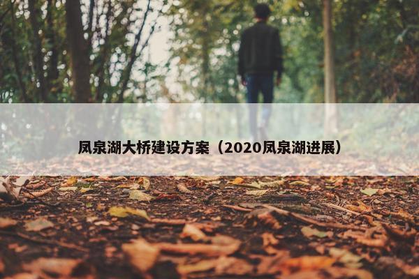 凤泉湖大桥建设方案（2020凤泉湖进展）