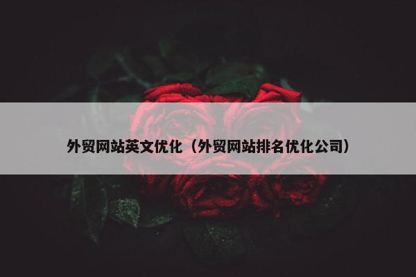 外贸网站英文优化（外贸网站排名优化公司）