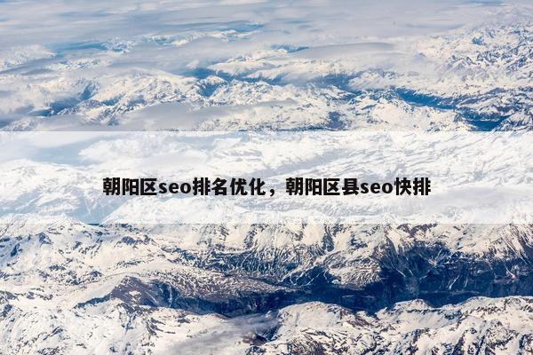 朝阳区seo排名优化，朝阳区县seo快排