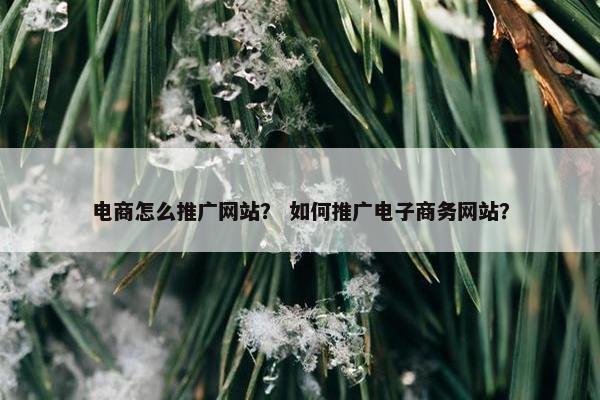 电商怎么推广网站？ 如何推广电子商务网站？