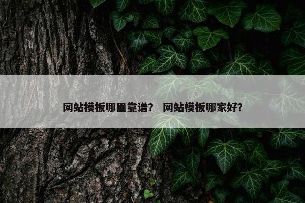 网站模板哪里靠谱？ 网站模板哪家好？