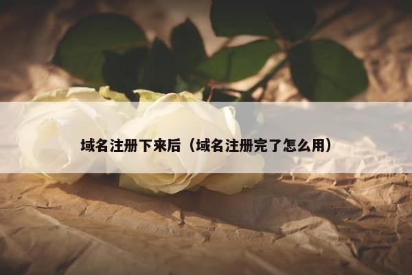 域名注册下来后（域名注册完了怎么用）