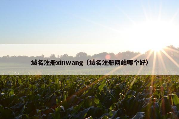 域名注册xinwang（域名注册网站哪个好）