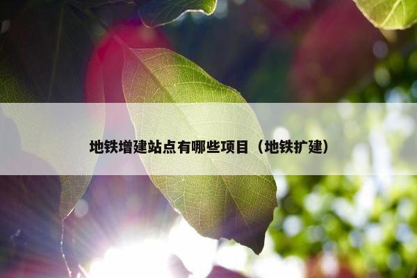 地铁增建站点有哪些项目（地铁扩建）
