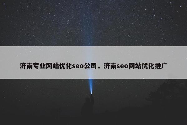 济南专业网站优化seo公司，济南seo网站优化推广
