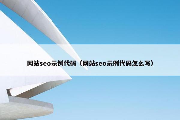 网站seo示例代码（网站seo示例代码怎么写）