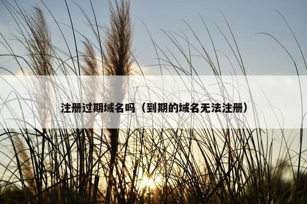 注册过期域名吗（到期的域名无法注册）