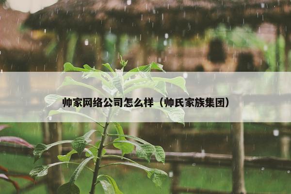 帅家网络公司怎么样（帅氏家族集团）