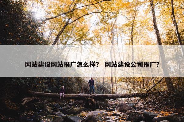 网站建设网站推广怎么样？ 网站建设公司推广？