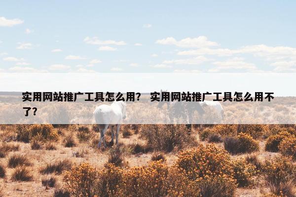 实用网站推广工具怎么用？ 实用网站推广工具怎么用不了？