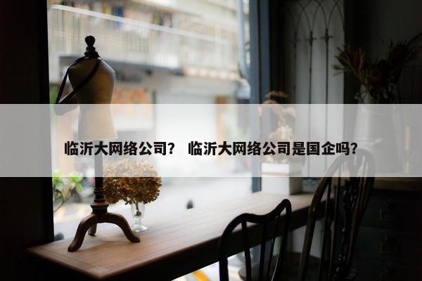 临沂大网络公司？ 临沂大网络公司是国企吗？